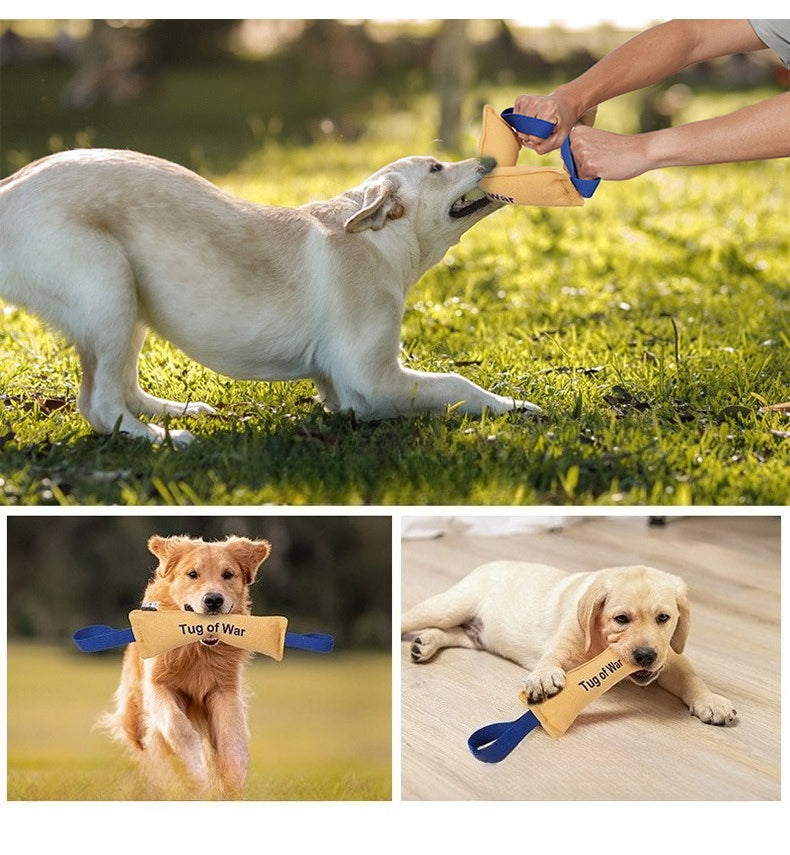 Pet toys are resistant to biting and relieve boredom