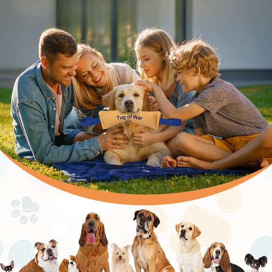 Pet toys are resistant to biting and relieve boredom