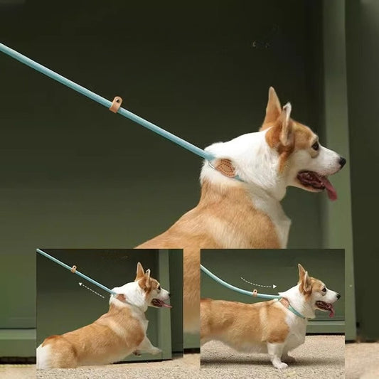 Dog leash P rope