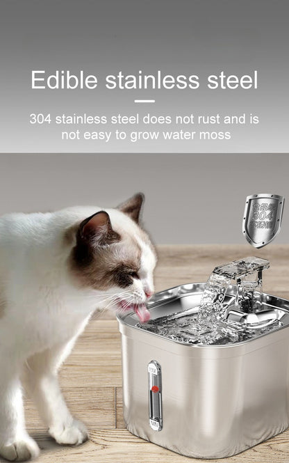 Pet water dispenser