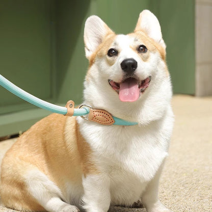 Dog leash P rope