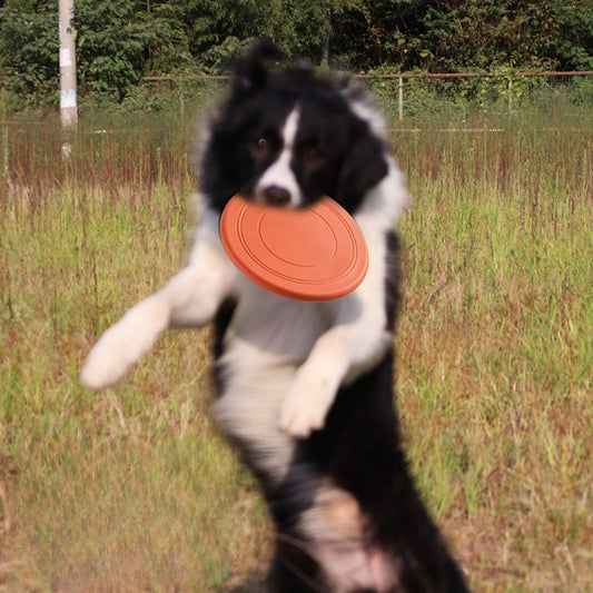 Pet Frisbee