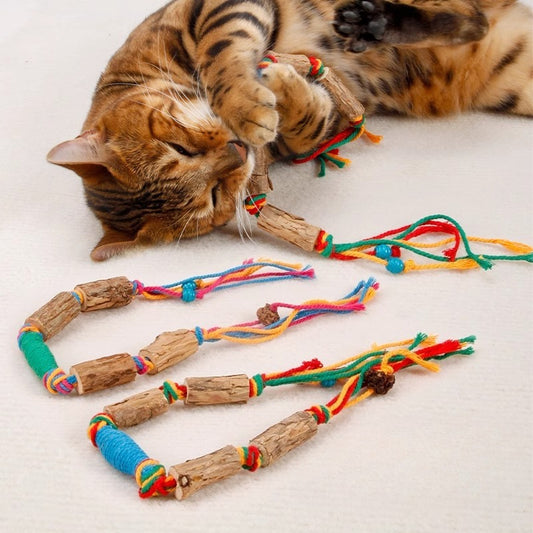 Pet molar stick cat stick