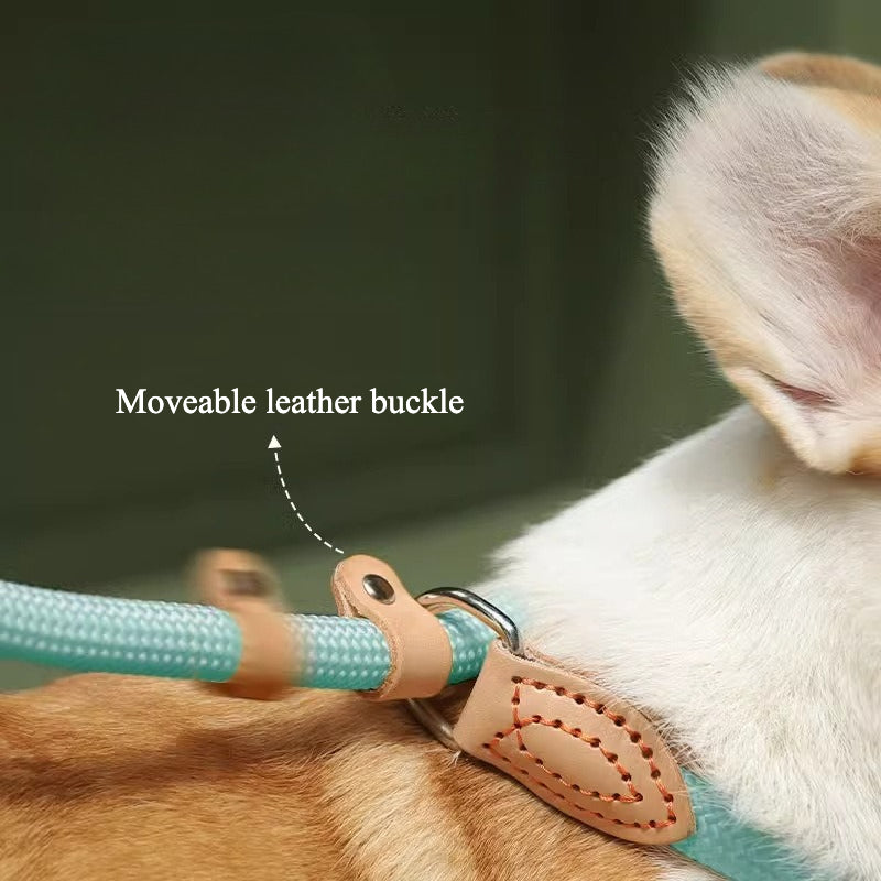 Dog leash P rope