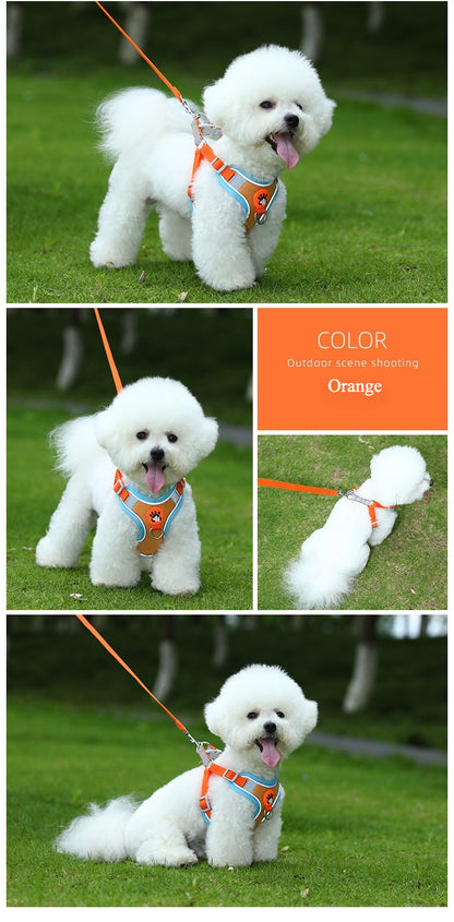Dog vest leash