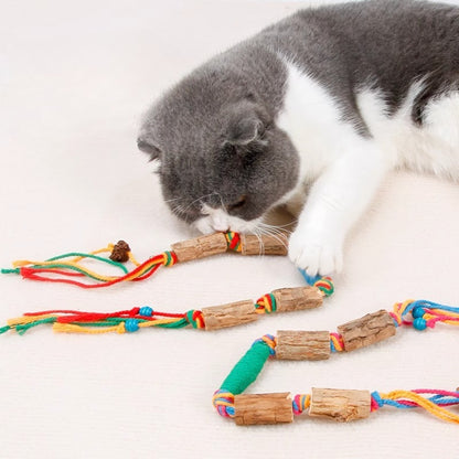 Pet molar stick cat stick