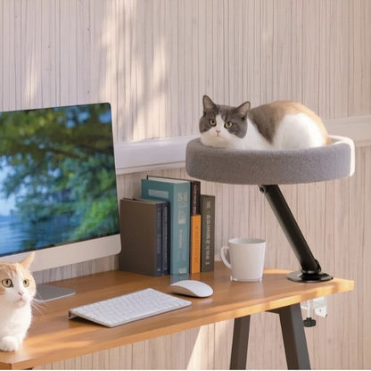 Hovering cat litter