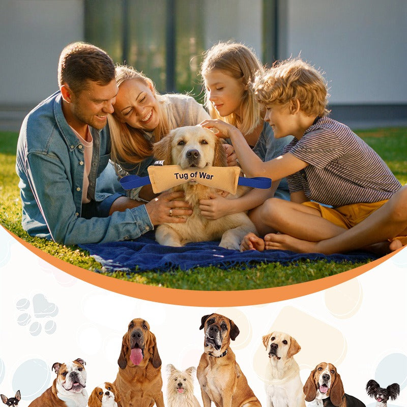 Pet toys are resistant to biting and relieve boredom