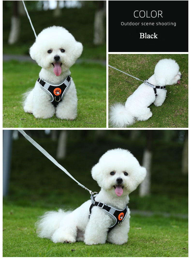 Dog vest leash