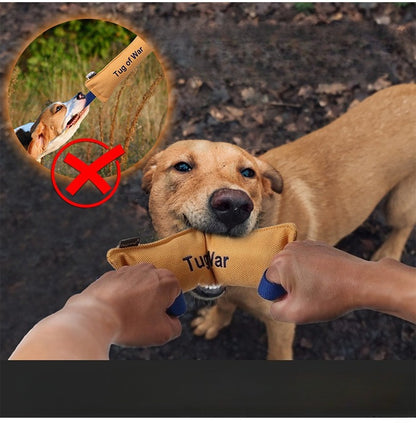 Pet toys are resistant to biting and relieve boredom